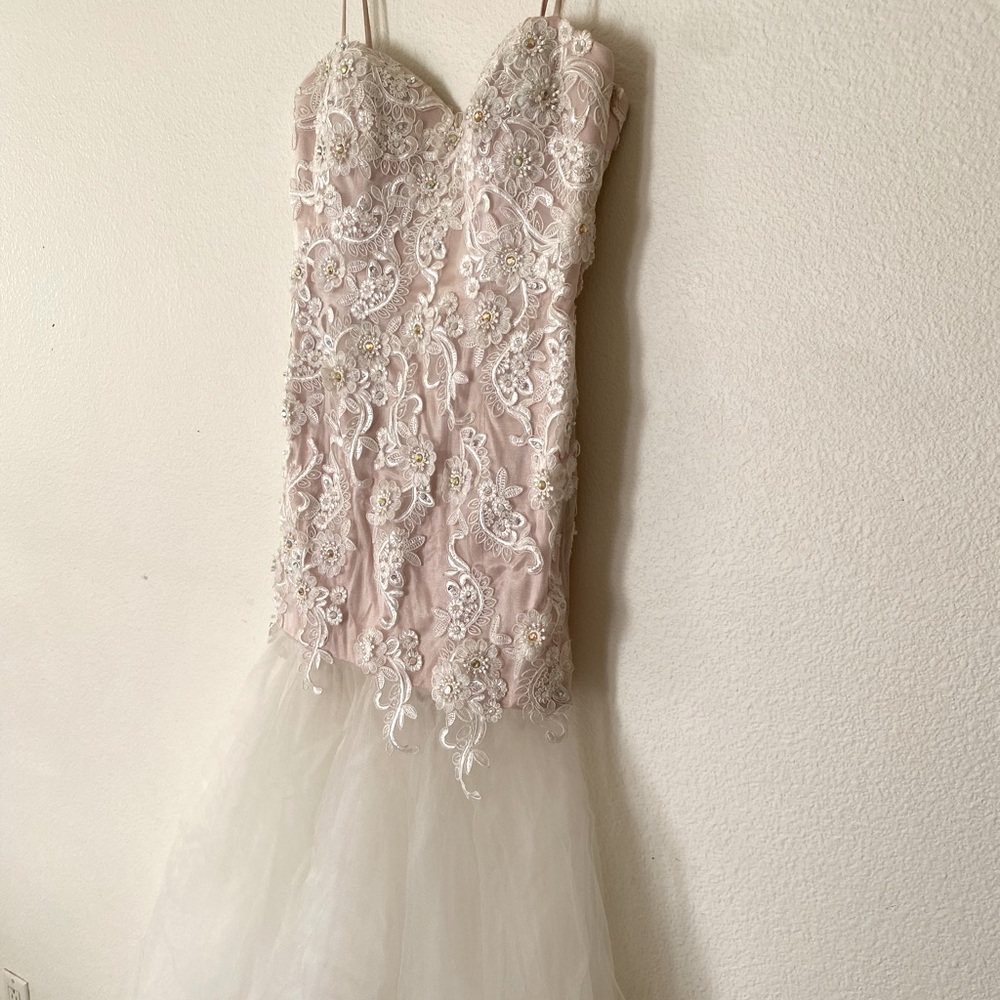 Lace Beaded Bodycon Mesh Dress